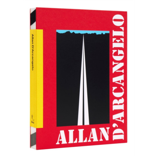 Rizzoli International Publications Allan D'Arcangelo (inbunden, eng)