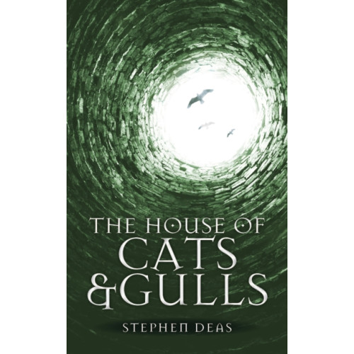 Watkins Media Limited The House of Cats and Gulls (häftad, eng)