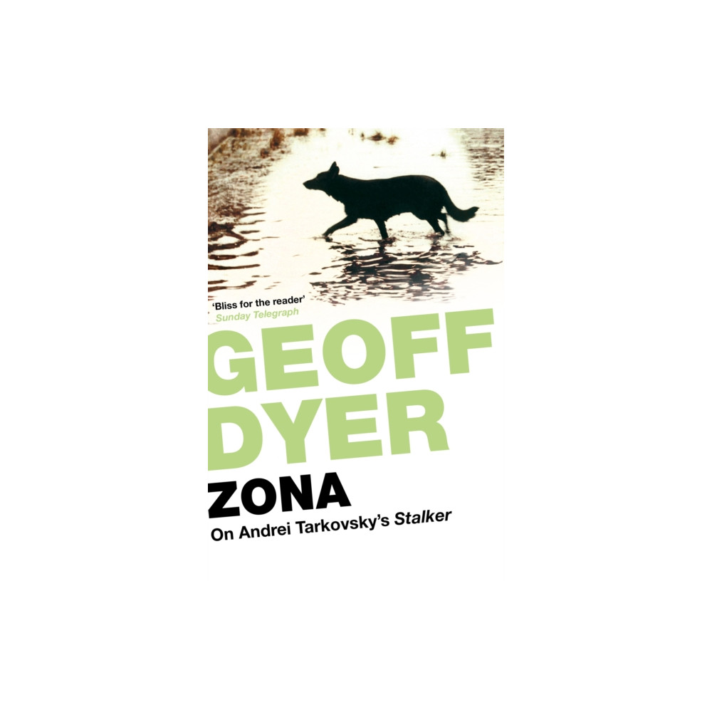 Produktbild för Zona (häftad, eng)