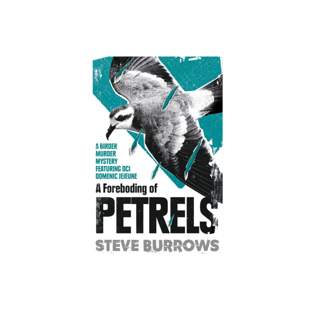Produktbild för A Foreboding of Petrels (häftad, eng)