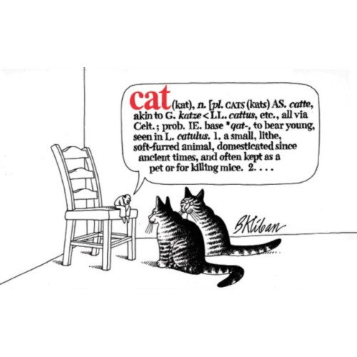 Workman Publishing Cat (häftad, eng)