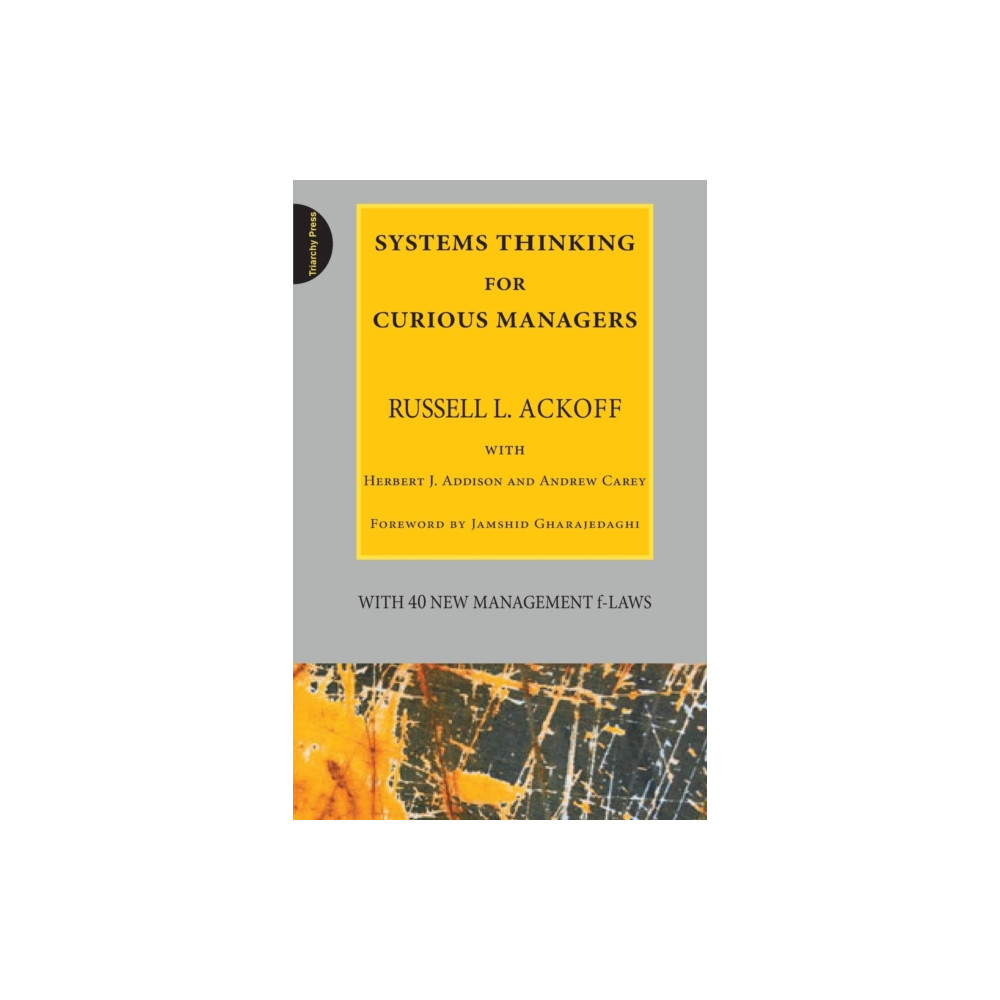 Produktbild för Systems Thinking for Curious Managers (häftad, eng)