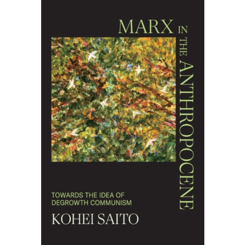 Cambridge University Press Marx in the Anthropocene (häftad, eng)