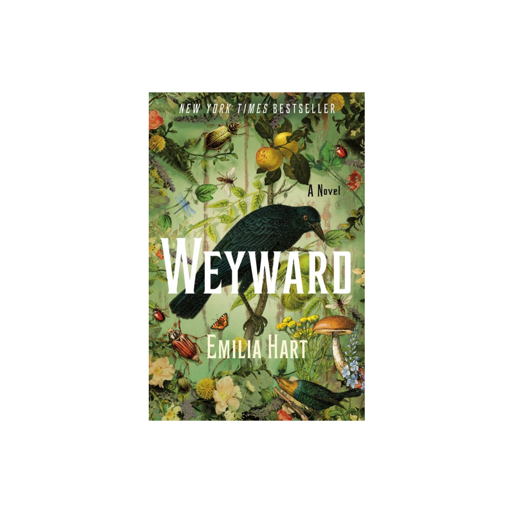 Produktbild för Weyward (inbunden, eng)