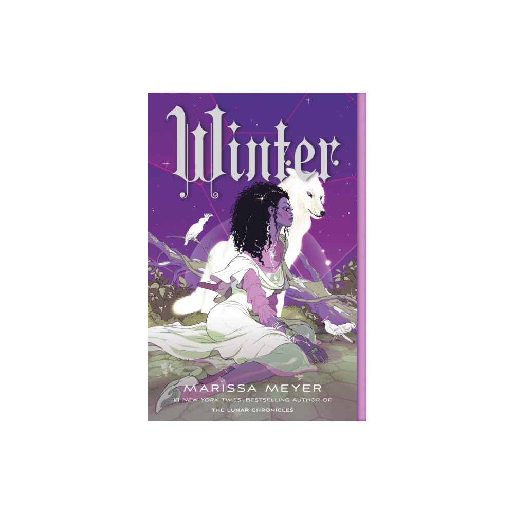 Produktbild för The Winter (häftad, eng)