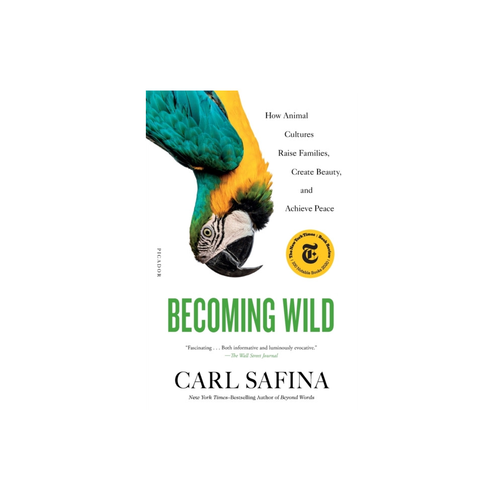 Produktbild för Becoming Wild (häftad, eng)