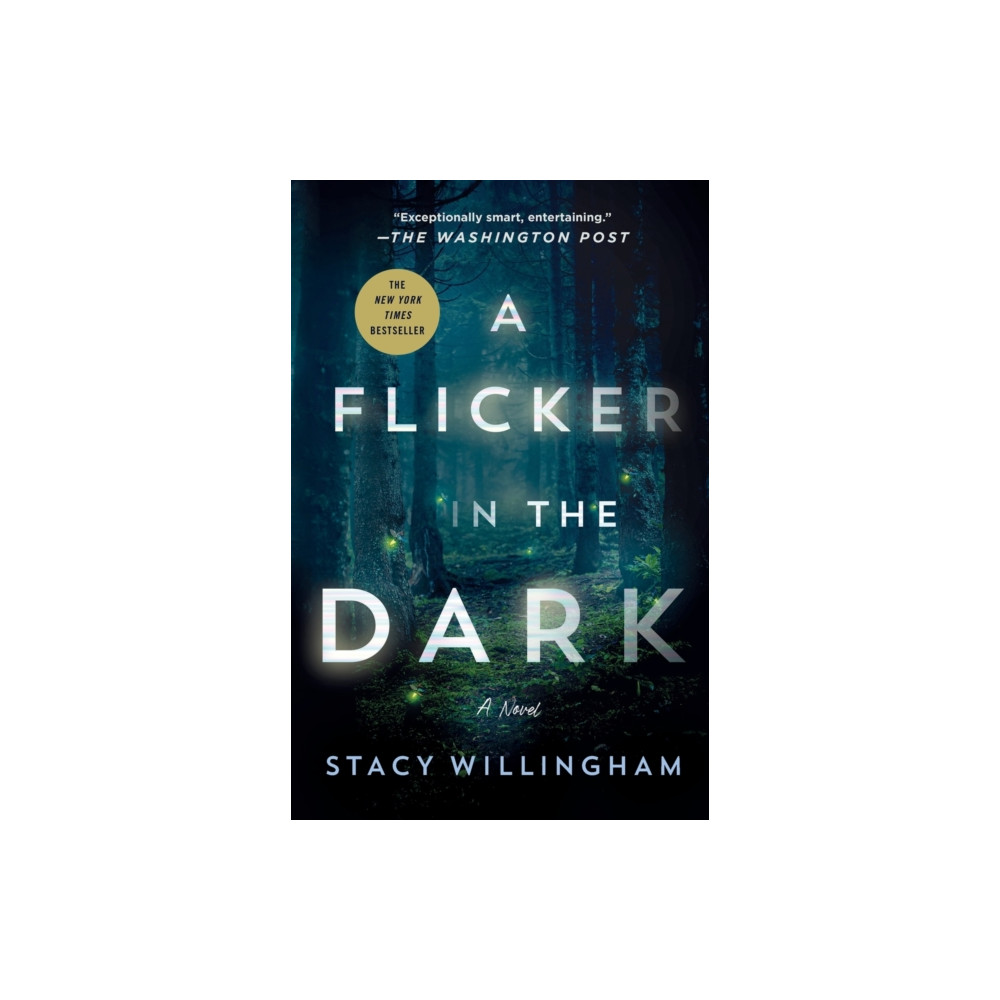 Produktbild för Flicker in the Dark (häftad, eng)