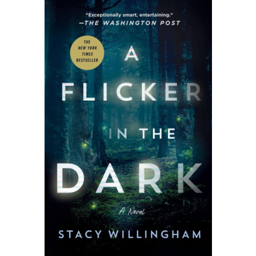 St. Martin's Publishing Group Flicker in the Dark (häftad, eng)