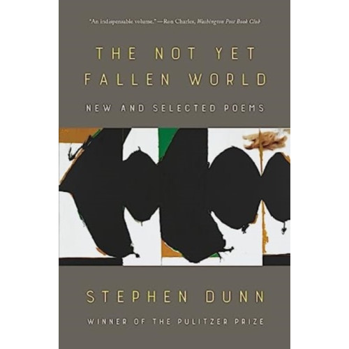 WW Norton & Co The Not Yet Fallen World (häftad, eng)