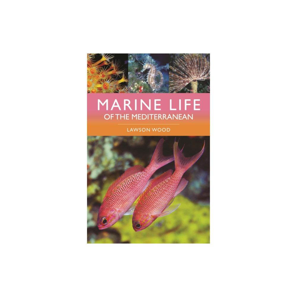 Produktbild för Marine Life of the Mediterranean (häftad, eng)