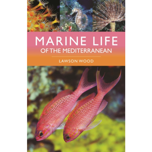 Bloomsbury Publishing PLC Marine Life of the Mediterranean (häftad, eng)