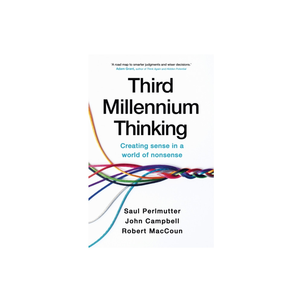 Produktbild för Third Millennium Thinking (häftad, eng)