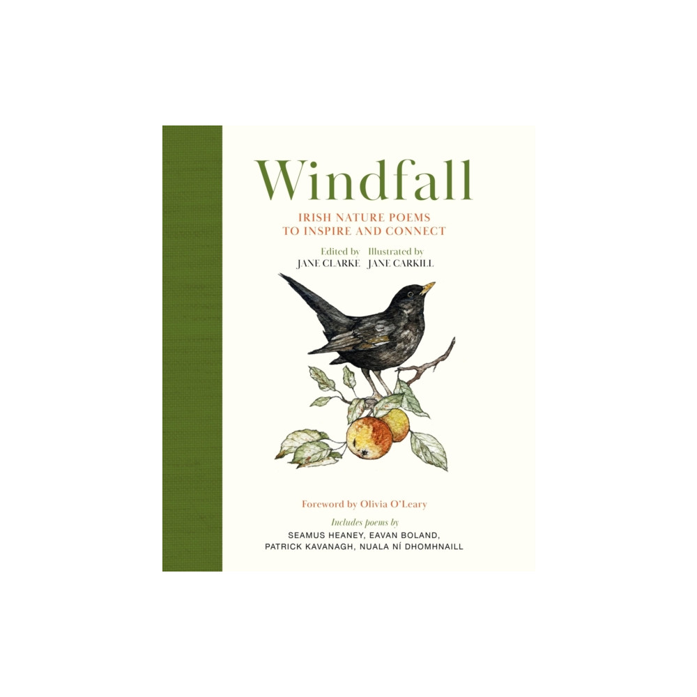 Produktbild för Windfall (inbunden, eng)