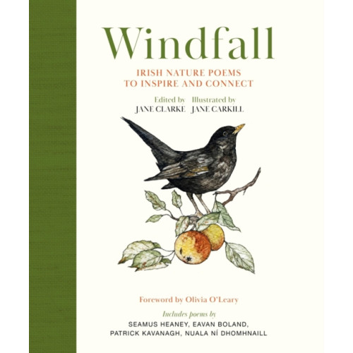 Hachette Books Ireland Windfall (inbunden, eng)