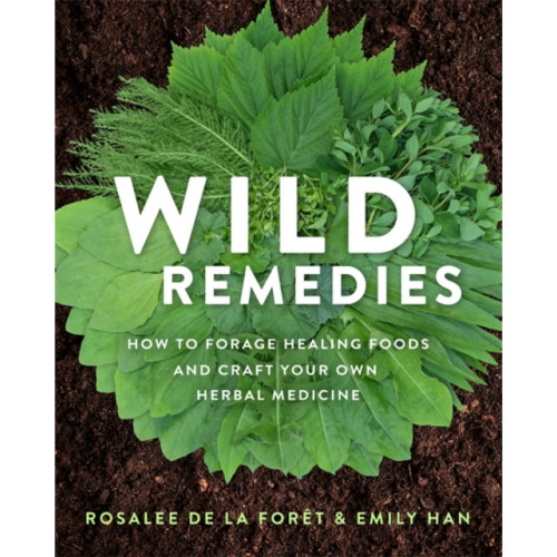 Hay House Inc Wild Remedies (häftad, eng)