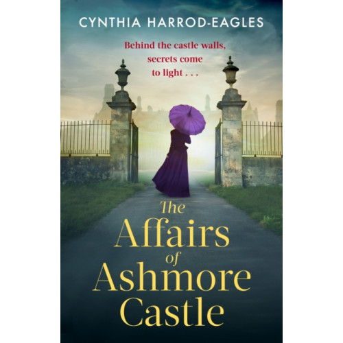 Little, Brown Book Group The Affairs of Ashmore Castle (häftad, eng)