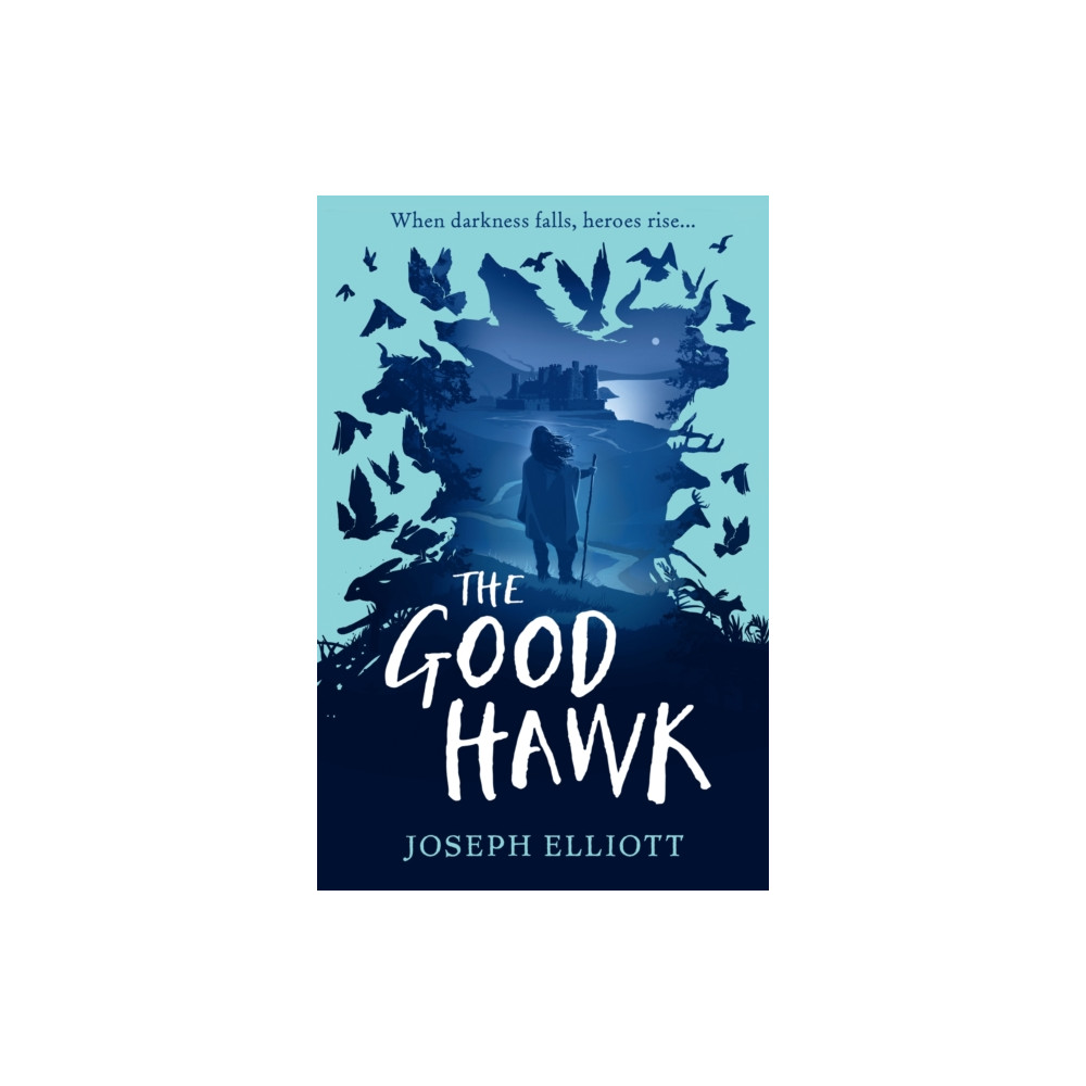 Produktbild för The Good Hawk (Shadow Skye, Book One) (häftad, eng)