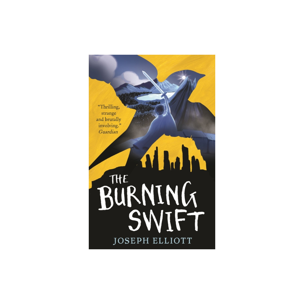 Produktbild för The Burning Swift (Shadow Skye, Book Three) (häftad, eng)
