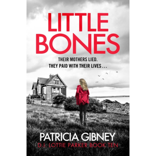 Little, Brown Book Group Little Bones (häftad, eng)