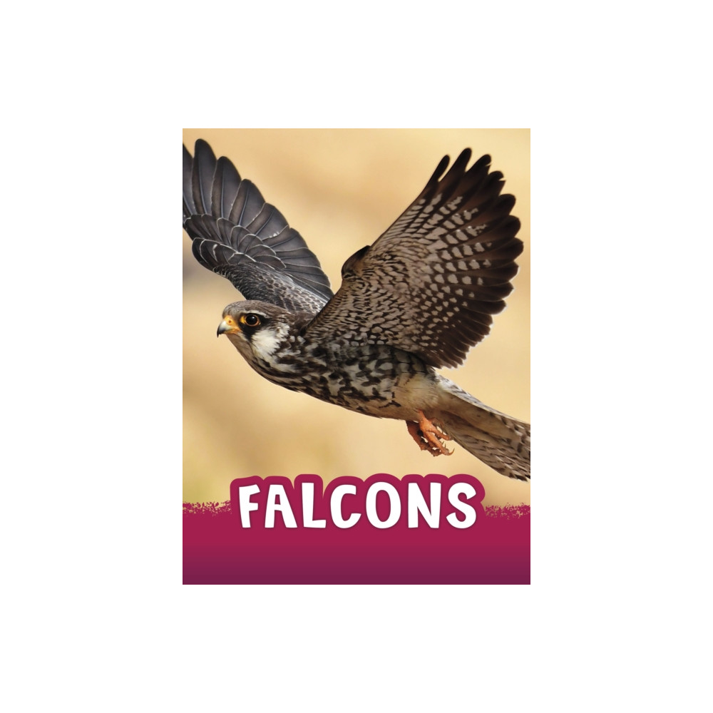 Produktbild för Falcons (häftad, eng)
