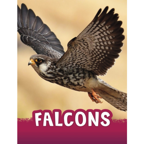 Capstone Global Library Ltd Falcons (häftad, eng)