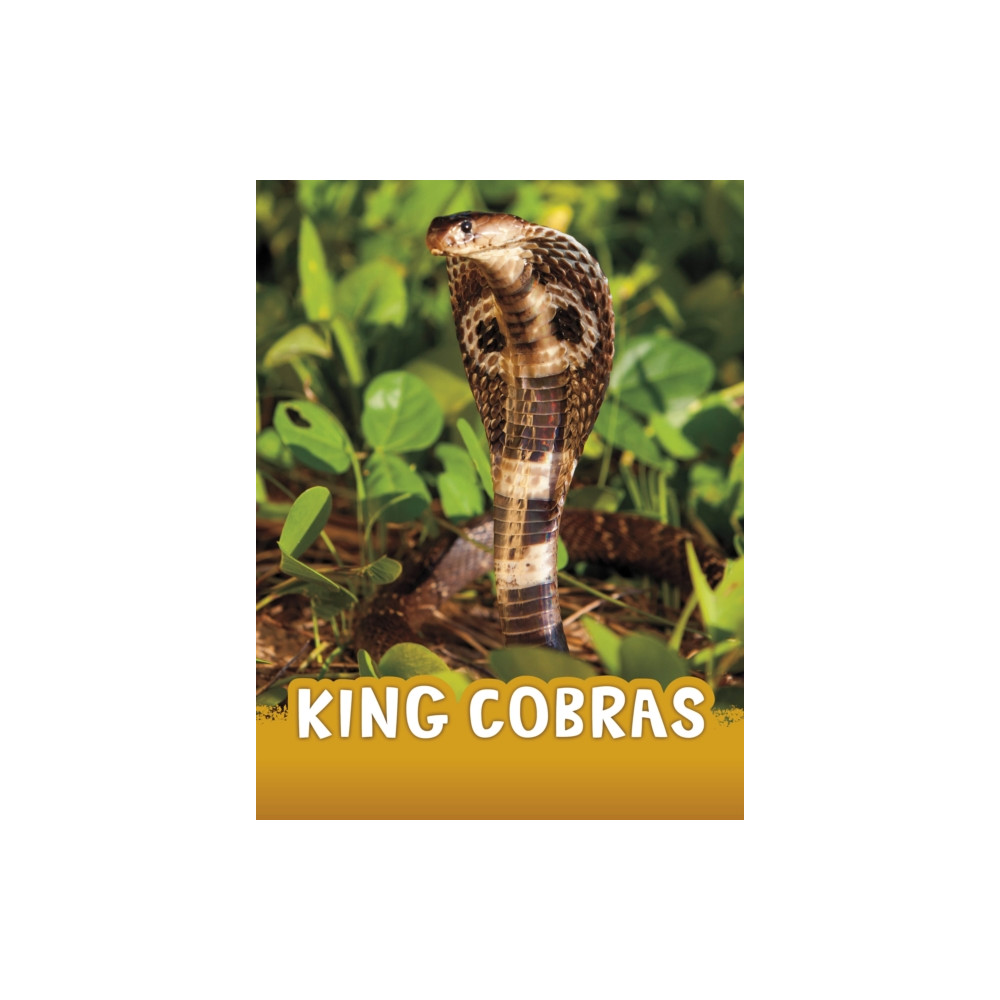 Produktbild för King Cobras (häftad, eng)