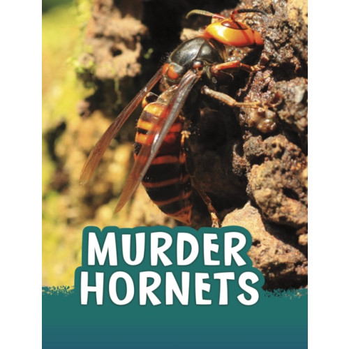 Capstone Global Library Ltd Murder Hornets (häftad, eng)