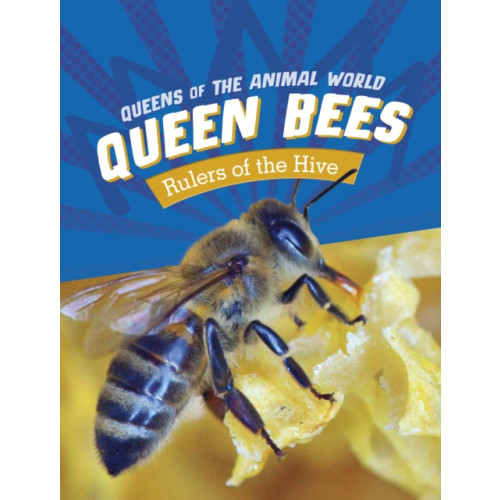 Capstone Global Library Ltd Queen Bees (häftad, eng)