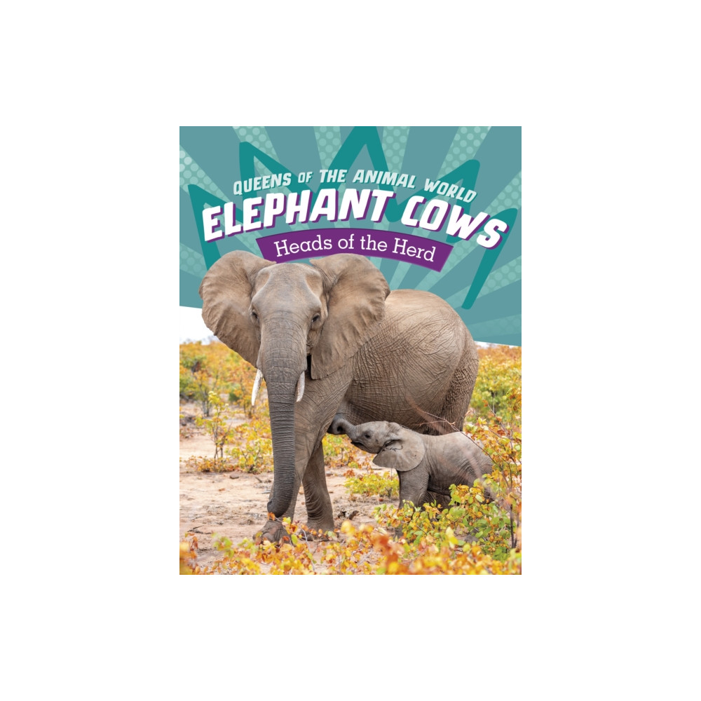 Produktbild för Elephant Cows (häftad, eng)