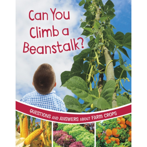 Capstone Global Library Ltd Can You Climb a Beanstalk? (häftad, eng)