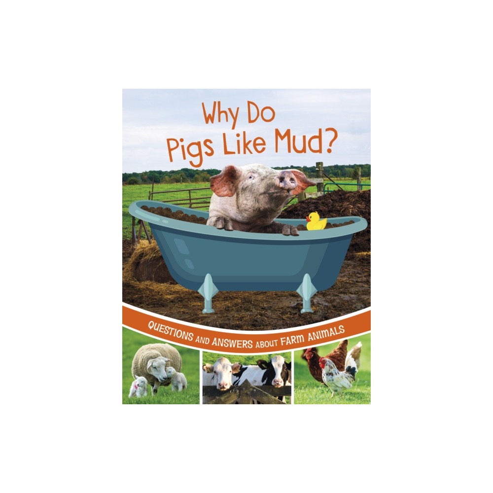 Produktbild för Why Do Pigs Like Mud? (häftad, eng)