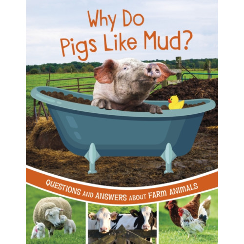 Capstone Global Library Ltd Why Do Pigs Like Mud? (häftad, eng)