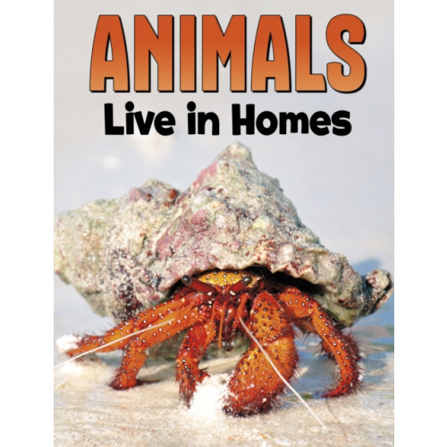 Capstone Global Library Ltd Animals Live in Homes (häftad, eng)