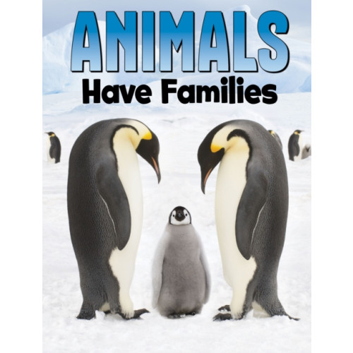 Capstone Global Library Ltd Animals Have Families (häftad, eng)