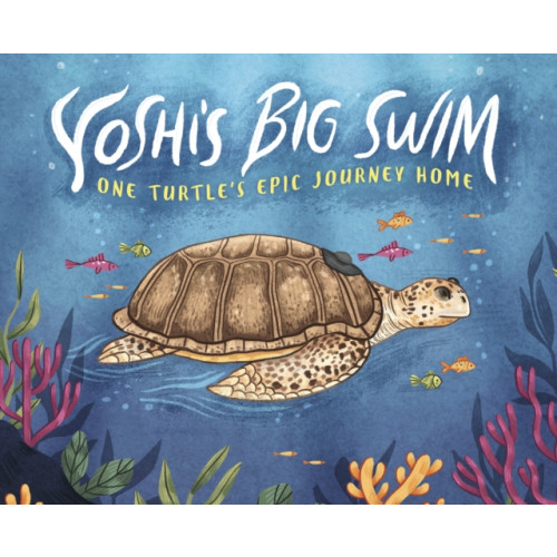 Capstone Global Library Ltd Yoshi's Big Swim (häftad, eng)