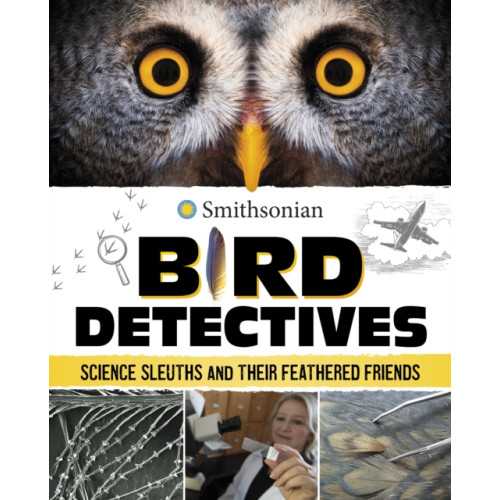 Capstone Global Library Ltd Bird Detectives (inbunden, eng)