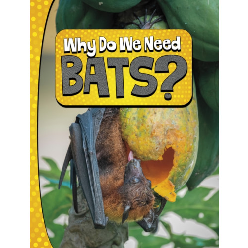 Capstone Global Library Ltd Why Do We Need Bats? (inbunden, eng)