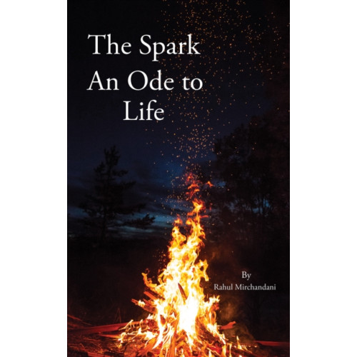 Austin Macauley Publishers The Spark: An Ode to Life (häftad, eng)