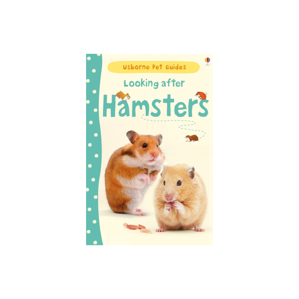 Produktbild för Looking after Hamsters (inbunden, eng)