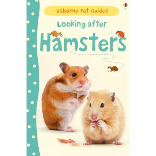 Usborne Publishing Ltd Looking after Hamsters (inbunden, eng)