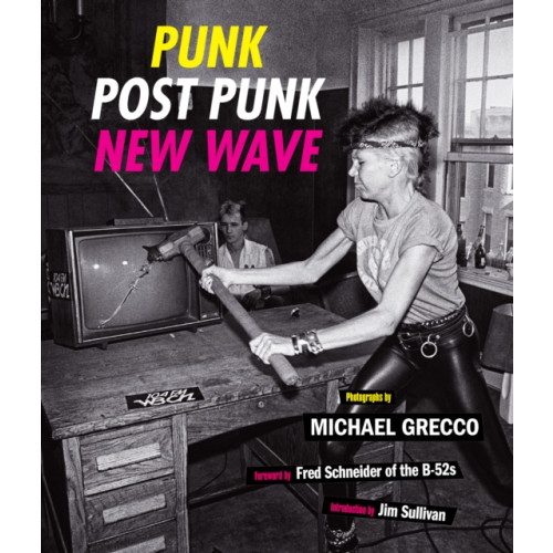 Abrams Punk, Post Punk, New Wave (inbunden, eng)