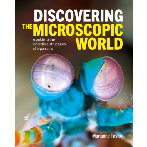 Arcturus publishing ltd Discovering the Microscopic World (inbunden, eng)