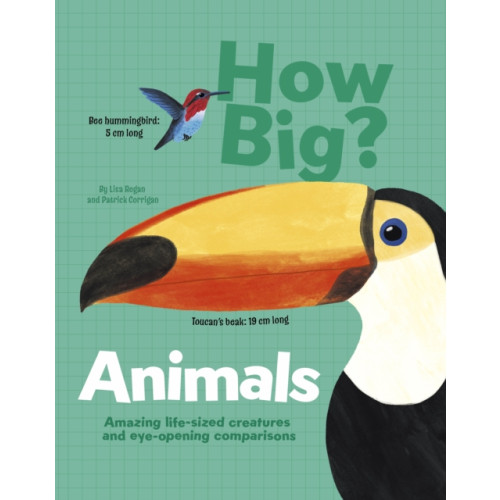 Arcturus publishing ltd How Big? Animals (inbunden, eng)