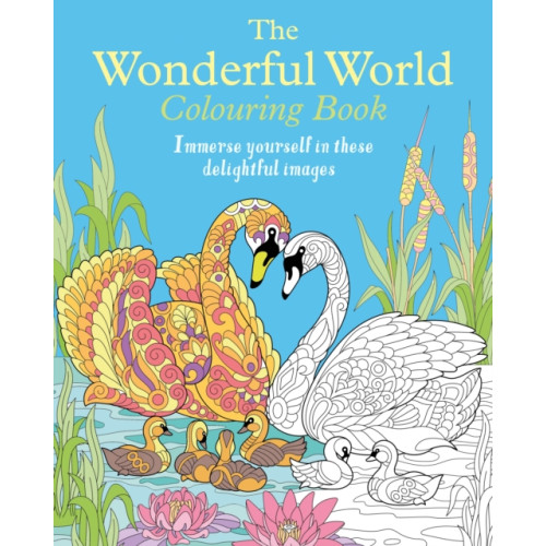 Arcturus publishing ltd The Wonderful World Colouring Book (häftad, eng)