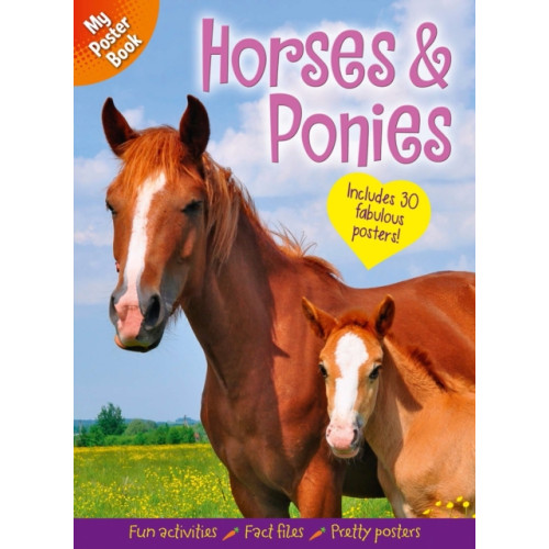 Arcturus publishing ltd My Poster Book: Horses & Ponies (häftad, eng)