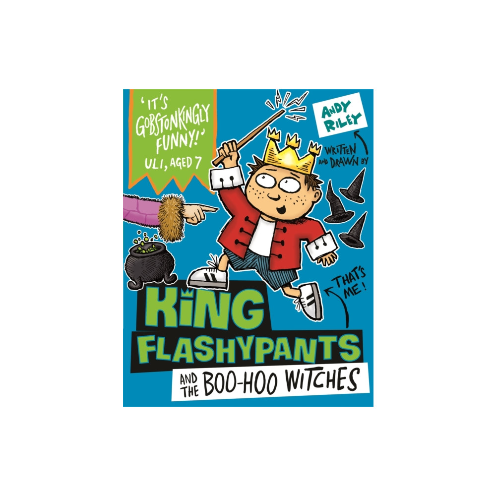 Produktbild för King Flashypants and the Boo-Hoo Witches (häftad, eng)
