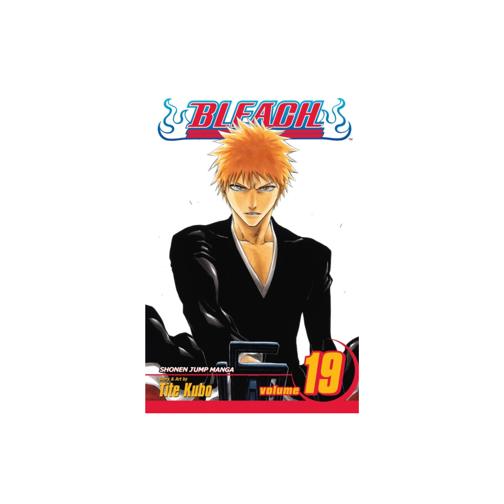 Produktbild för Bleach, Vol. 19 (häftad, eng)