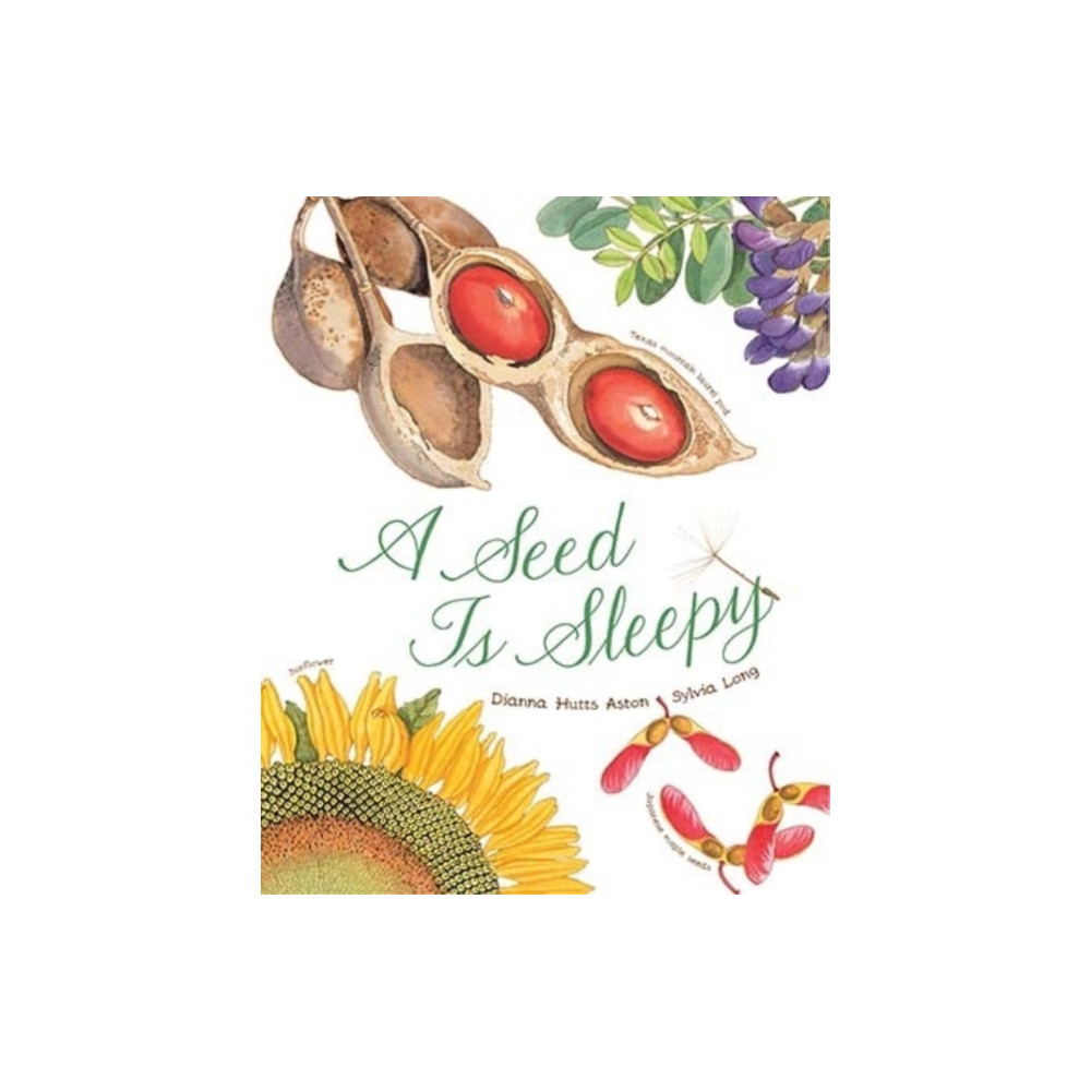 Produktbild för A Seed Is Sleepy (häftad, eng)
