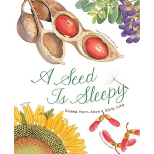 Chronicle Books A Seed Is Sleepy (häftad, eng)