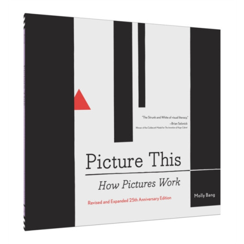 Chronicle Books Picture This: How Pictures Work (häftad, eng)